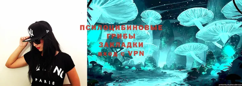 Галлюциногенные грибы MAGIC MUSHROOMS  Зеленодольск 